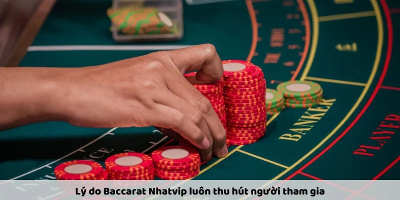 Sunwin chính là sòng chơi Baccarat uy tín Sunwin chính là sòng chơi Baccarat uy tín